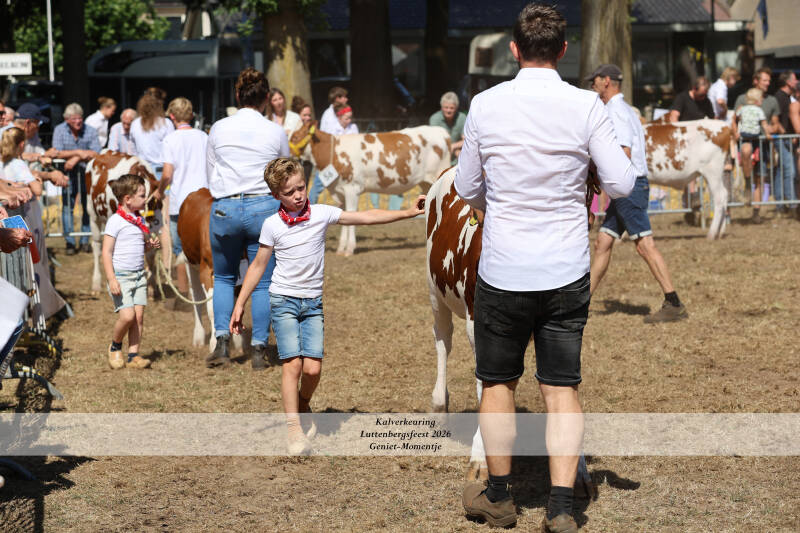 4t9a9280_resultaat-standard-6qm8bc.jpg