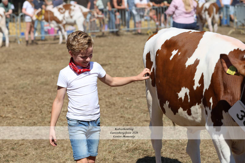 4t9a9283_resultaat-standard.jpg
