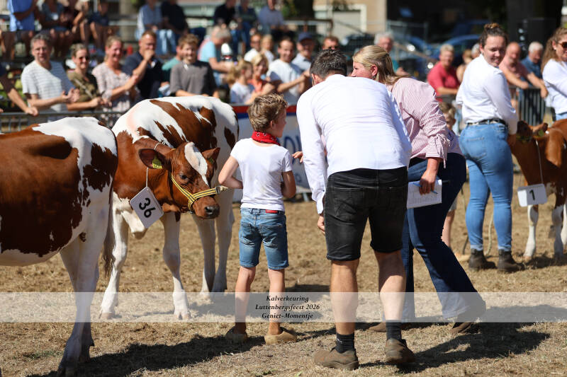 4t9a9293_resultaat-standard.jpg