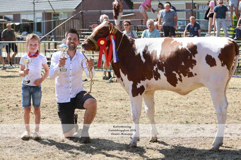 4t9a9344_resultaat-standard.jpg