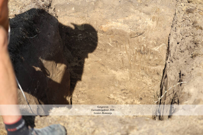 4t9a9898_resultaat-standard-ncoi8l.jpg