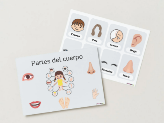 LAS PARTES DEL CUERPO