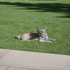 20240507_162957-standard.jpg