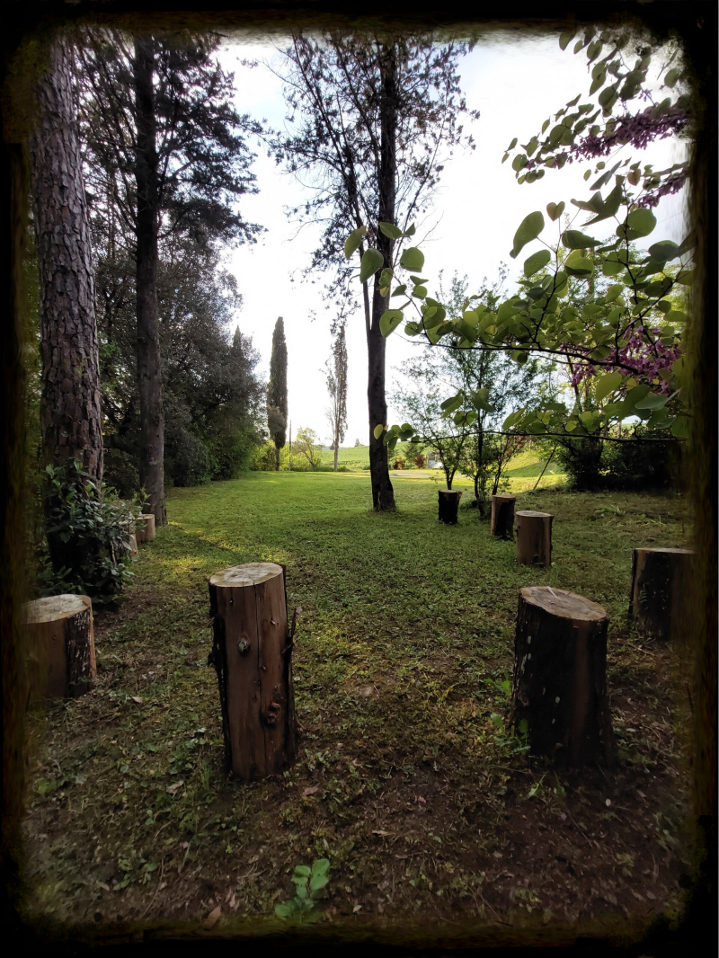 Area Parco Appartamento Indipendente in Toscana, a soli pochi chilometri da Firenze, Pisa, Lucca, Siena, Monteriggioni, San Gimignano, Volterra, Livorno, Vinci, Montelupo Fiorentino, San Miniato etc...