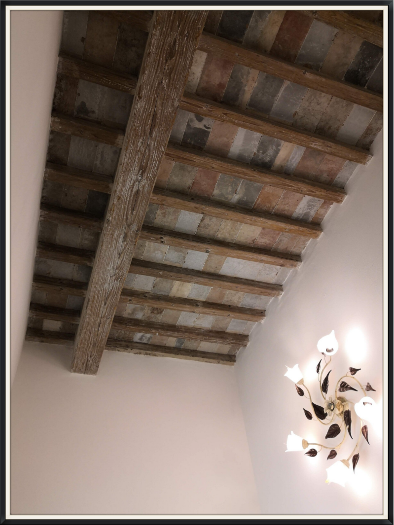 Particolare soffitto Bagno Appartamento Indipendente in Toscana, a soli pochi chilometri da Firenze, Pisa, Lucca, Siena, Monteriggioni, San Gimignano, Volterra, Livorno, Vinci, Montelupo Fiorentino, San Miniato etc...
