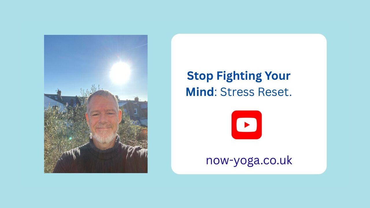 stop fighting your mind - stress reset