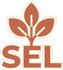 Social and Emotional Learning: Supporting Students at Every Stage