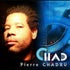 Chad art contemporain - Pierre CHADRU