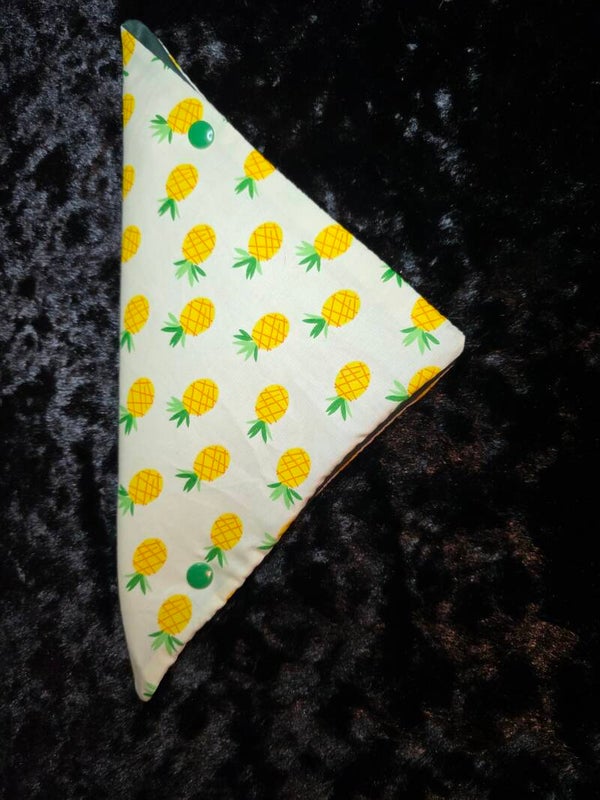 Pineapple Party