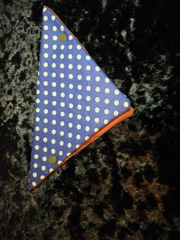 True Blue Dots