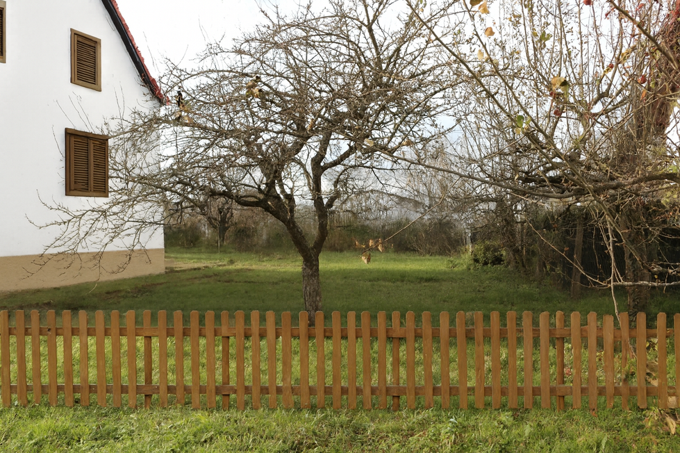 Verwandlung in der Südpfalz