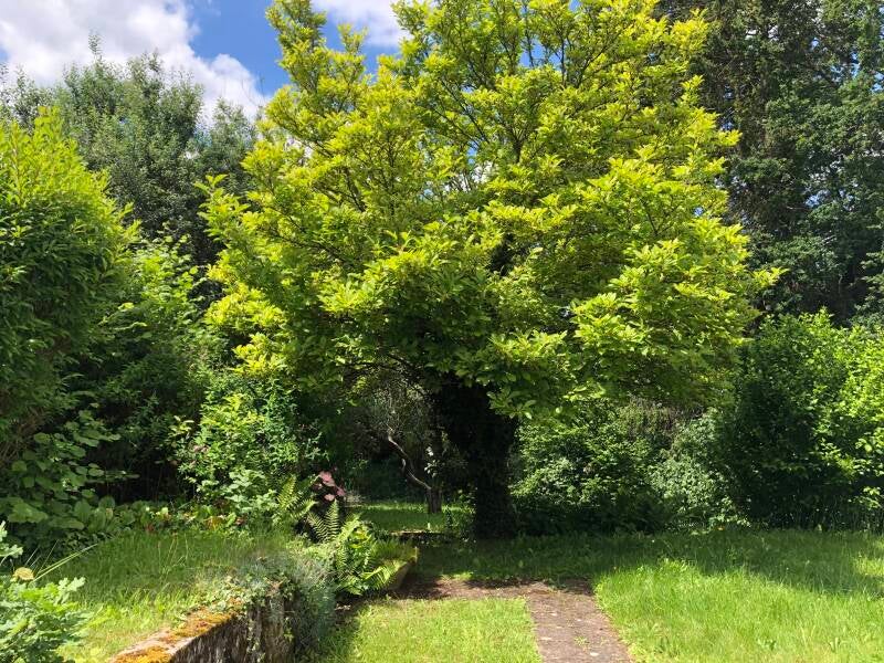 Rückbau auf Traumgrundstück