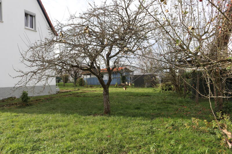 Verwandlung in der Südpfalz