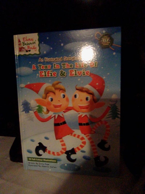Story book illustrated Xmas book of a year in life of Elfie and Elvie