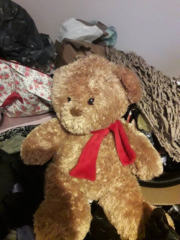 Brown teddy medium used vgc