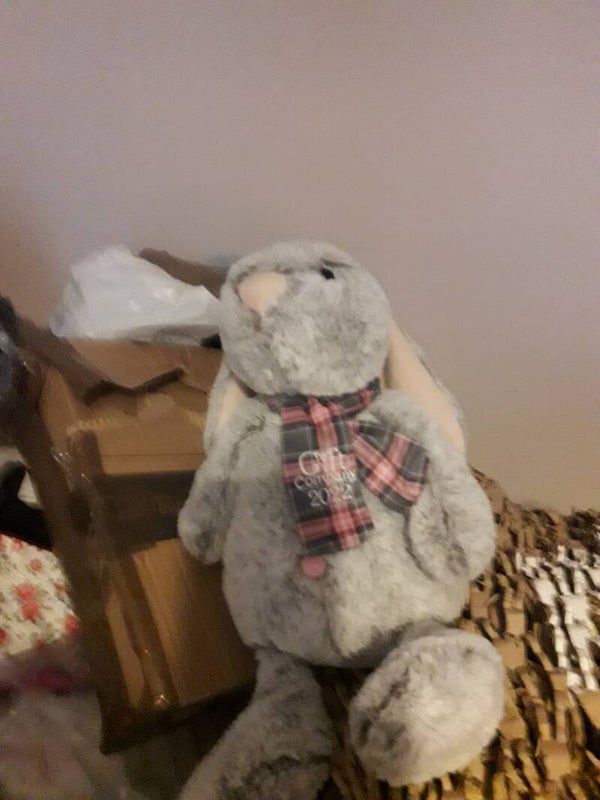 Soft bunny pink grey