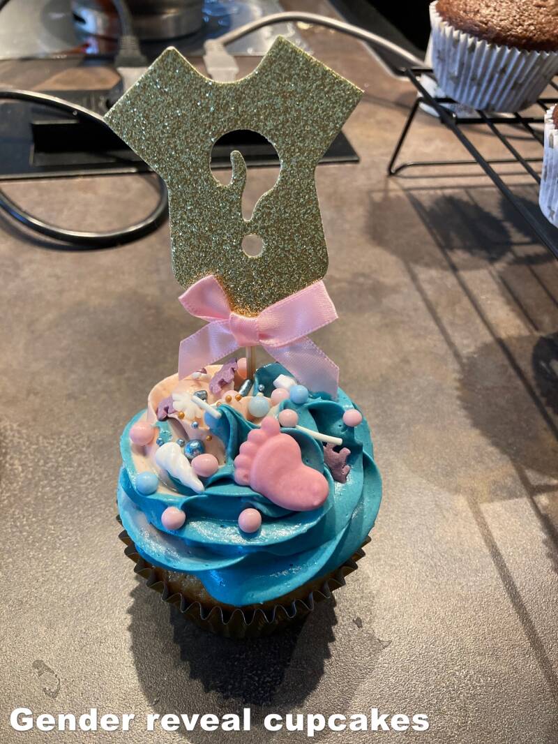 gender-reveal-cupcakes-standard.jpg