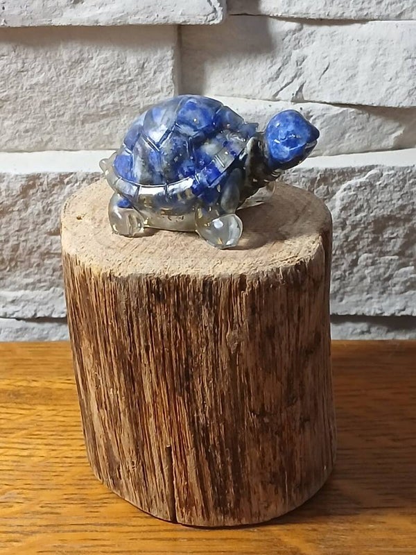 Schildpad (orgonites)
