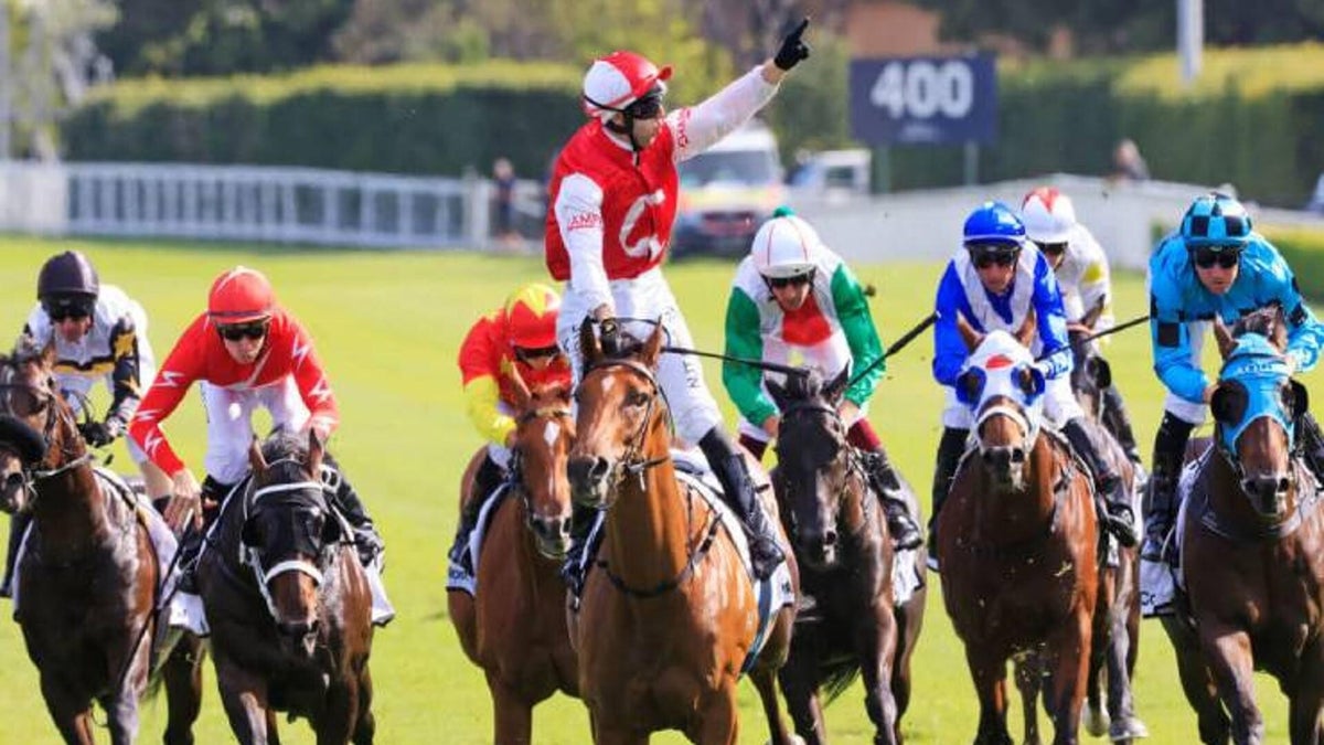 Randwick Races - Saturday 25 January 2025 / Racing Tips | Show Us Your Tips