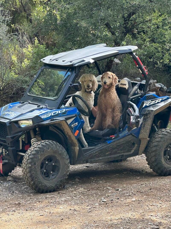 Polaris RZR Rental — 2 Seats