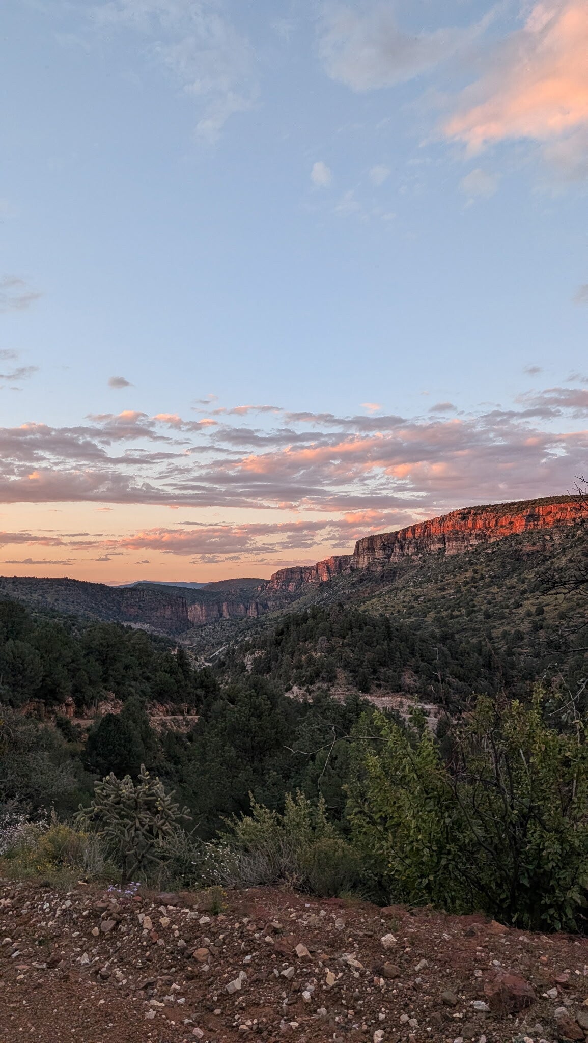View of canyons and Upper Salt River from Carol Spring Mountain UTV tour