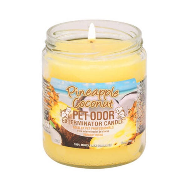 Pineapple Coconut Odour Eliminator Candle