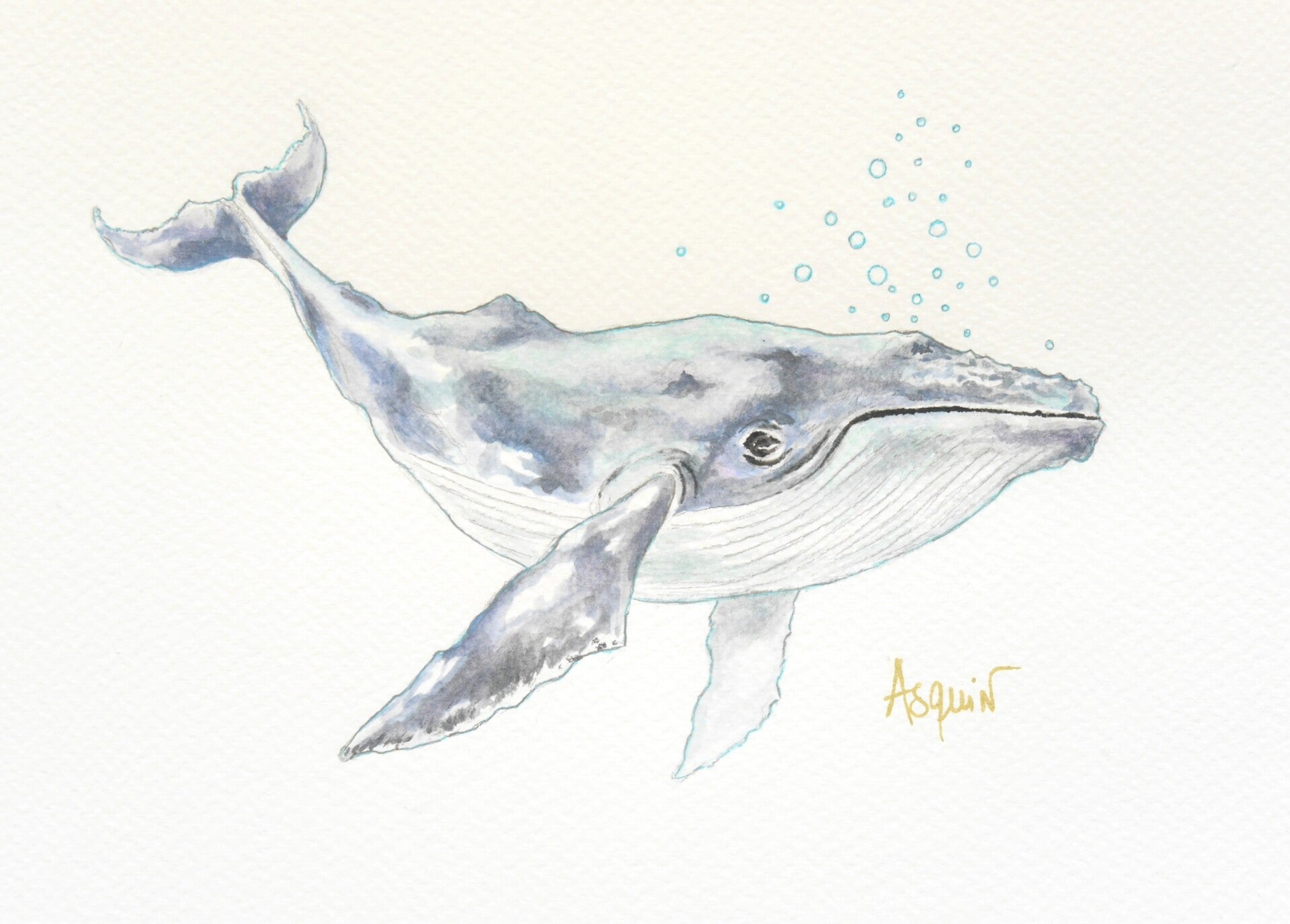 Baleine Bleue