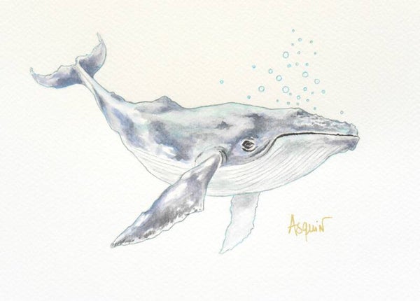 Baleine Bleue