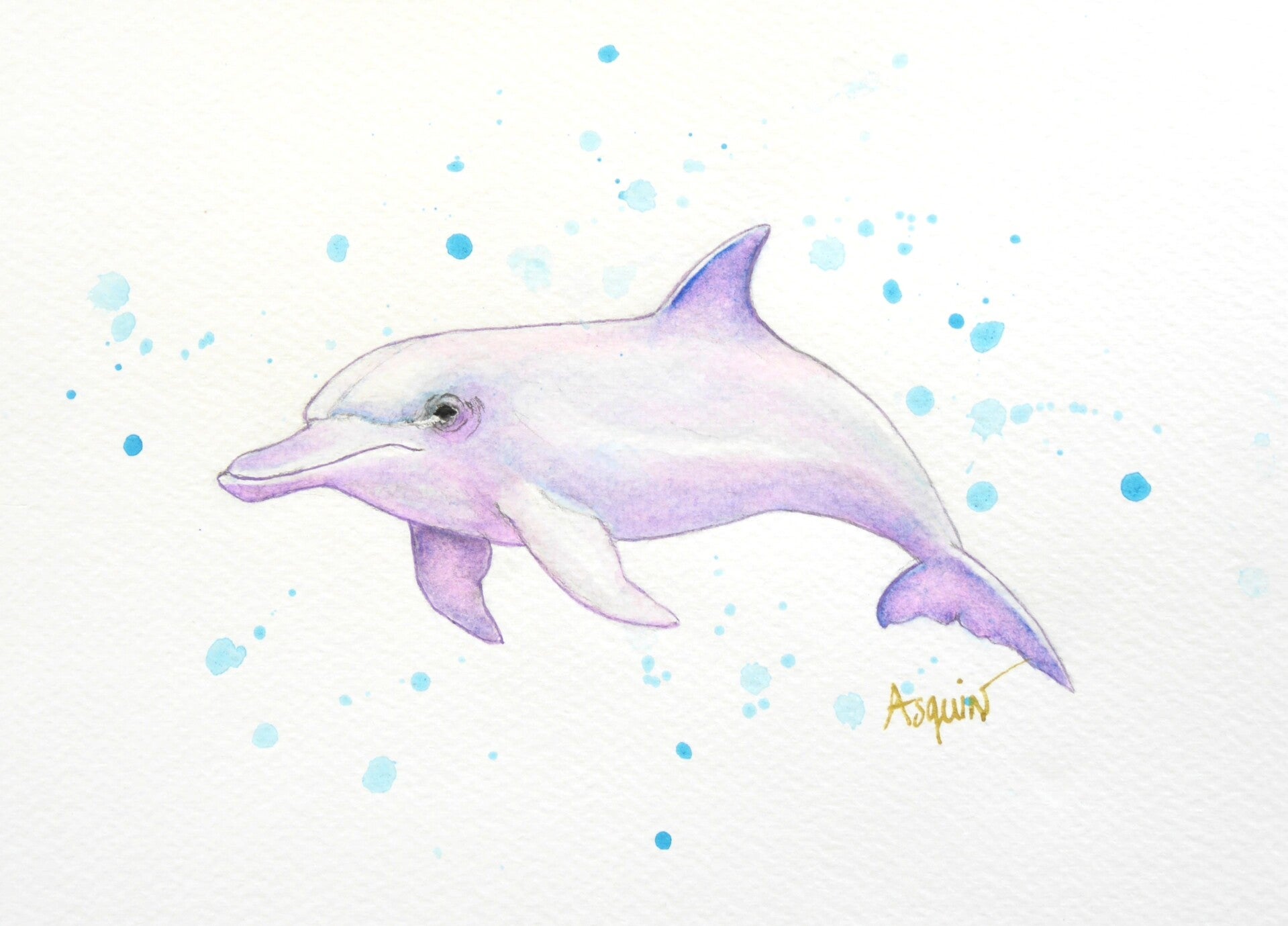 Dauphin Pourpre et Bleu