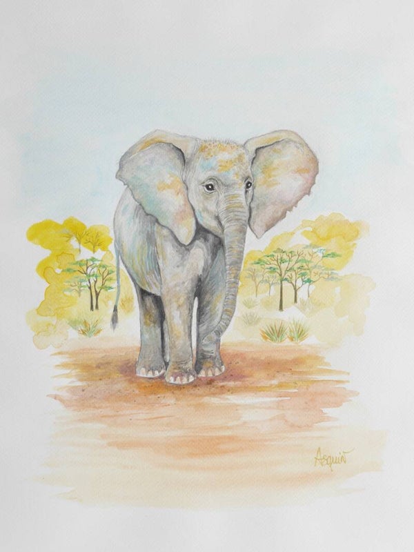 ELEPHANT "Petit prince d'Afrique" TIRAGE D'ART