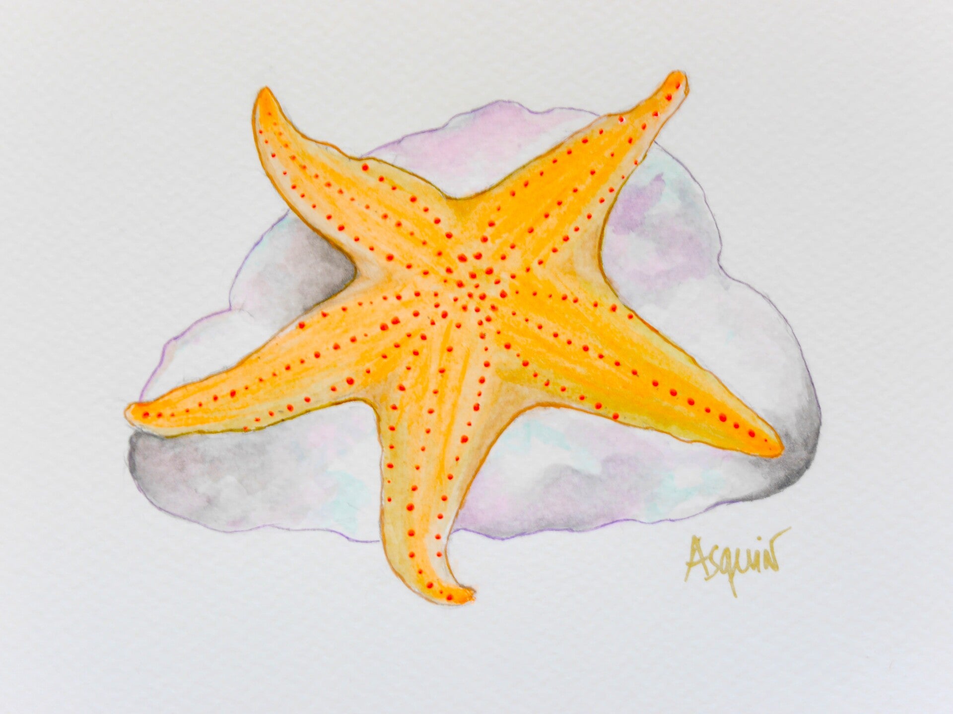 Etoile de Mer
