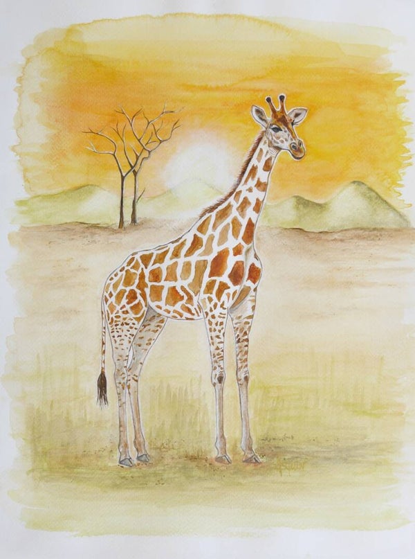 GIRAFE "Savanah" Tirage d'art