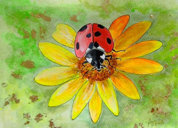 Coccinelle