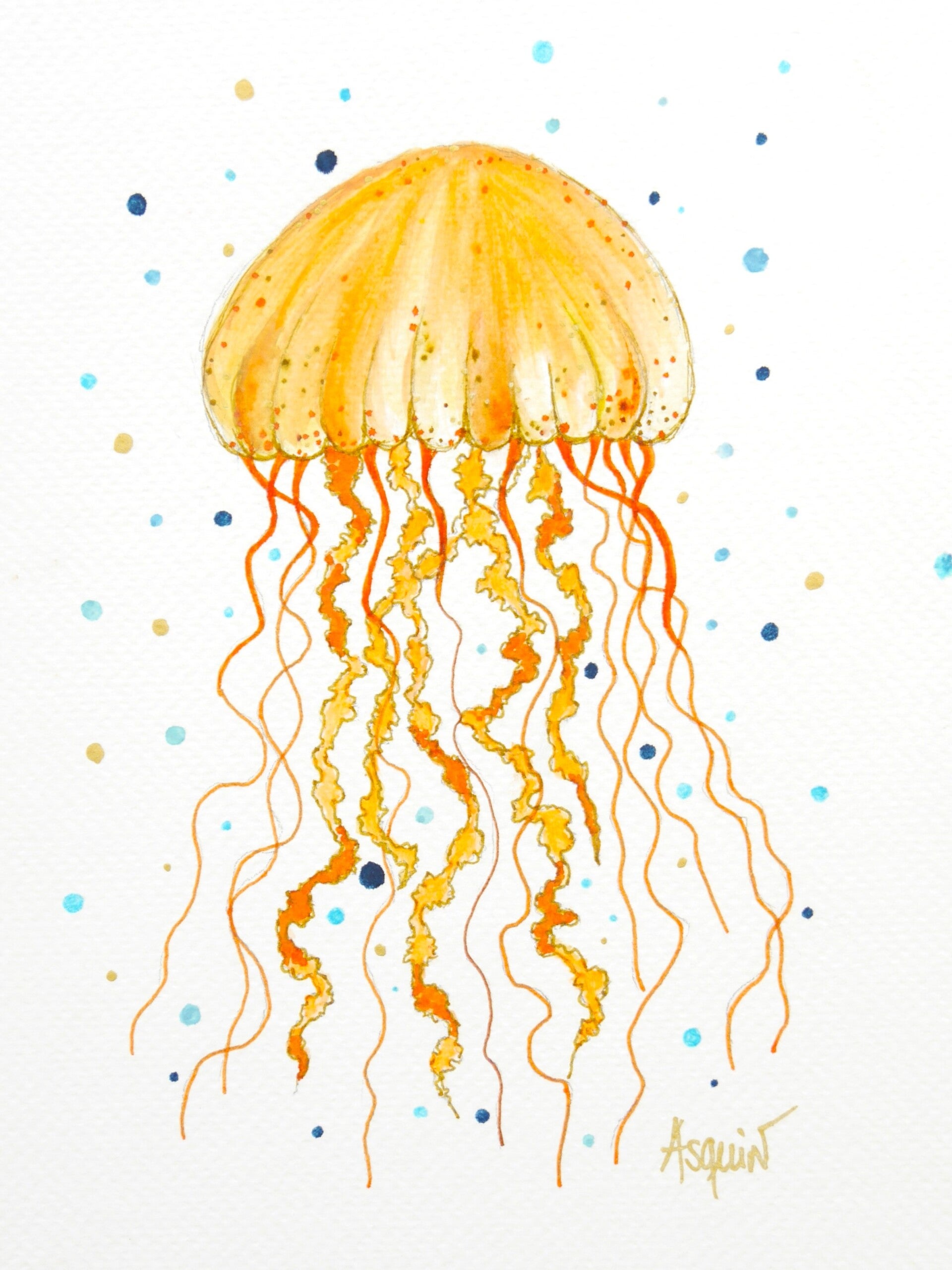 Méduse Orange