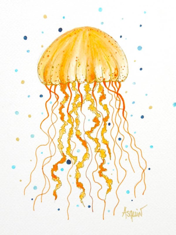 Méduse Orange