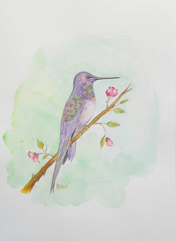 COLIBRI "Beauté irisée" TIRAGE D'ART