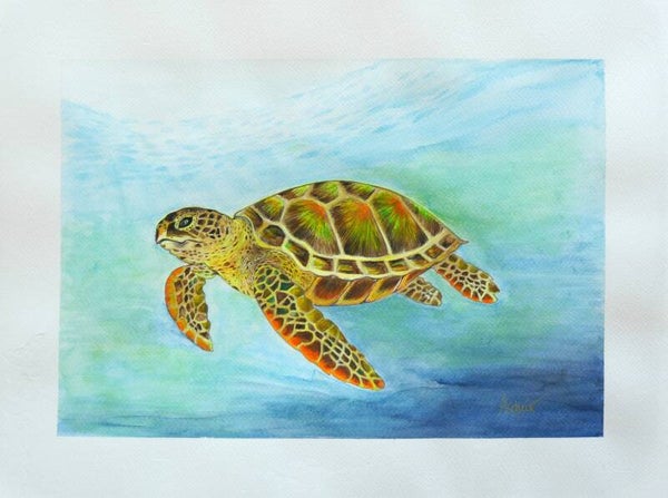 TORTUE DE MER "Océane" Tirage d'art