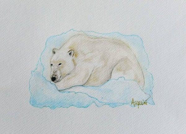 Ours polaire endormi