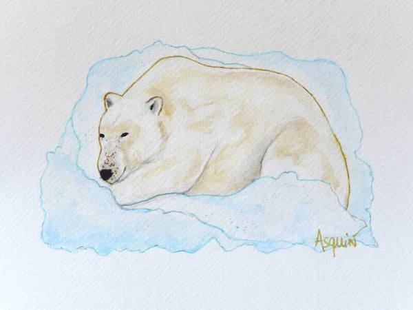 Ours polaire
