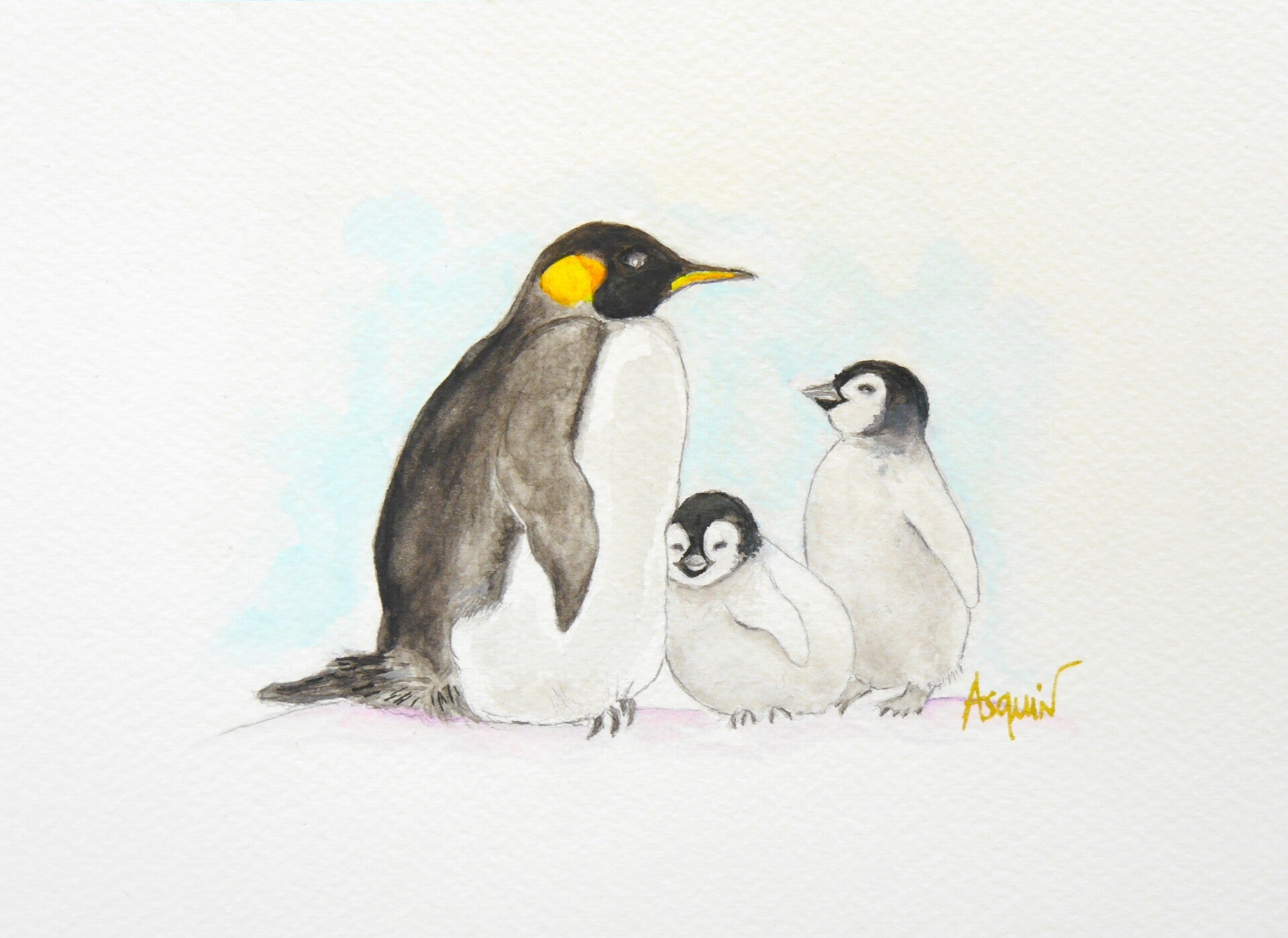 Pingouins Family