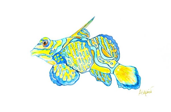 Poisson exotique