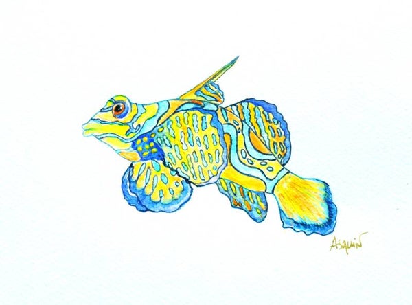 POISSON EXOTIQUE