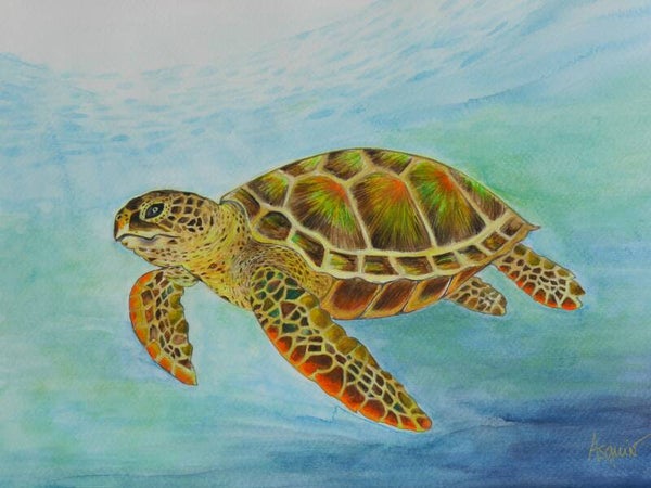 TIRAGE D'ART Format 40 x 30