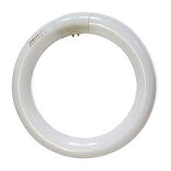 FLUORESCENTE CIRCOLARE