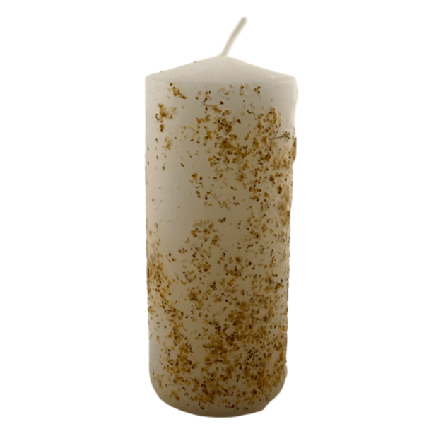 VELON AJO MACHO