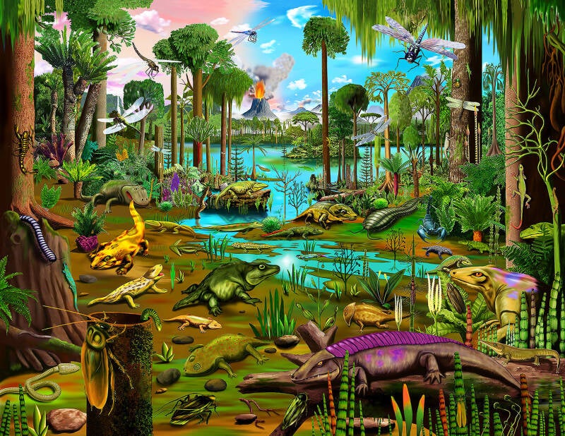 Carboniferous Swamp