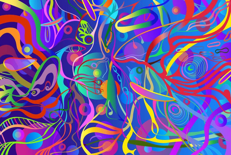 Soft Fruit. Chameleon. CD Artwork