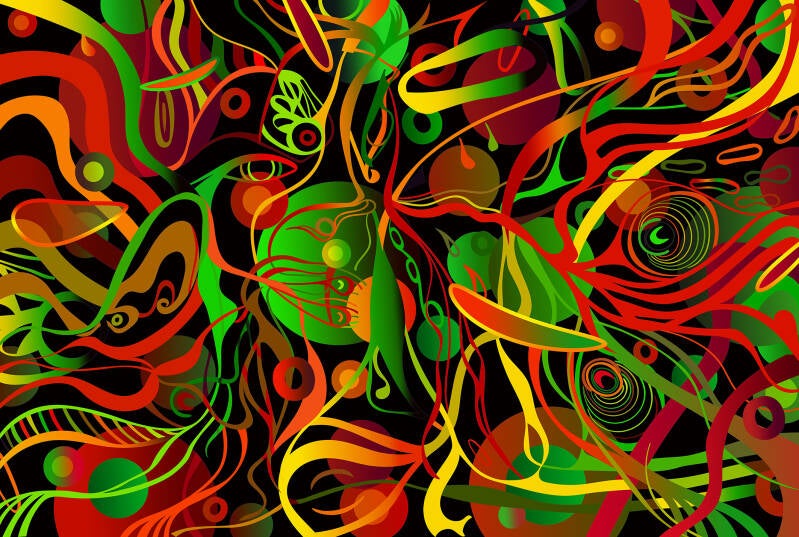 Soft Fruit. Chameleon. CD Artwork Alternative