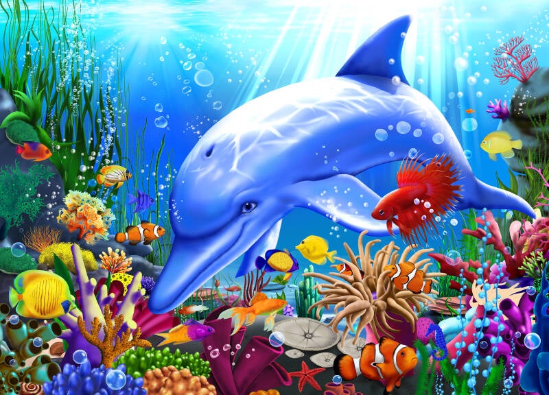 Dolphin's Ocean Domain