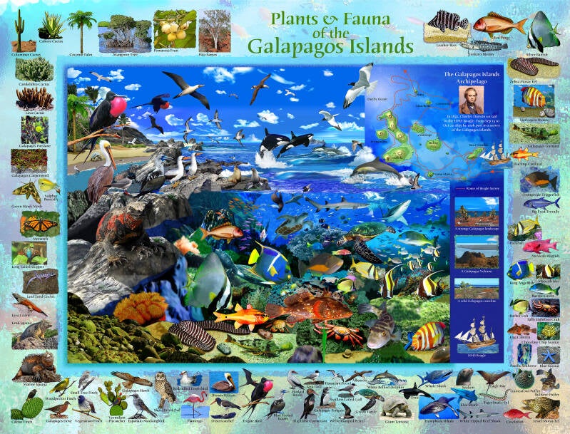 The plants and fauna of the Galapagos Islands